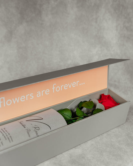 Trandafir criogenat în cutie L