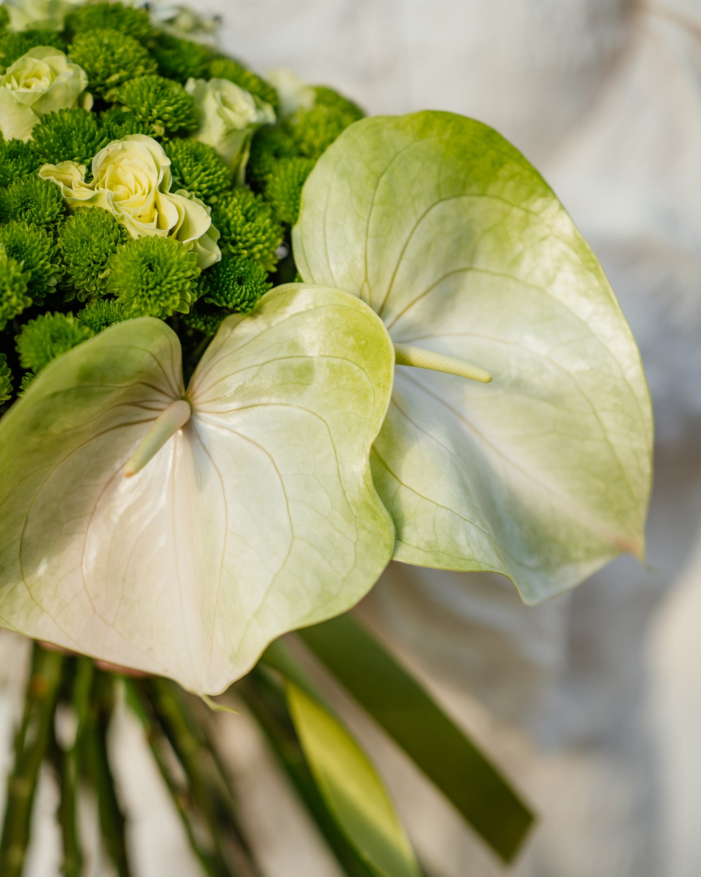 Buchet mireasă verde cu Crizanteme